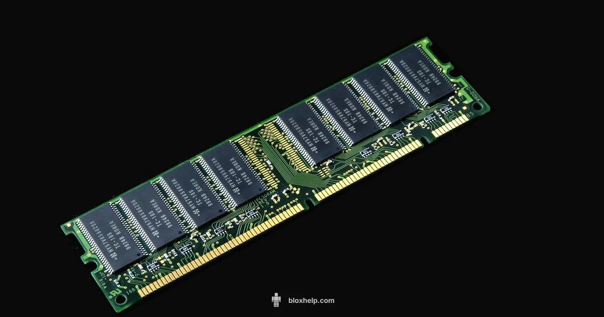 RAM for Roblox - Blox Help