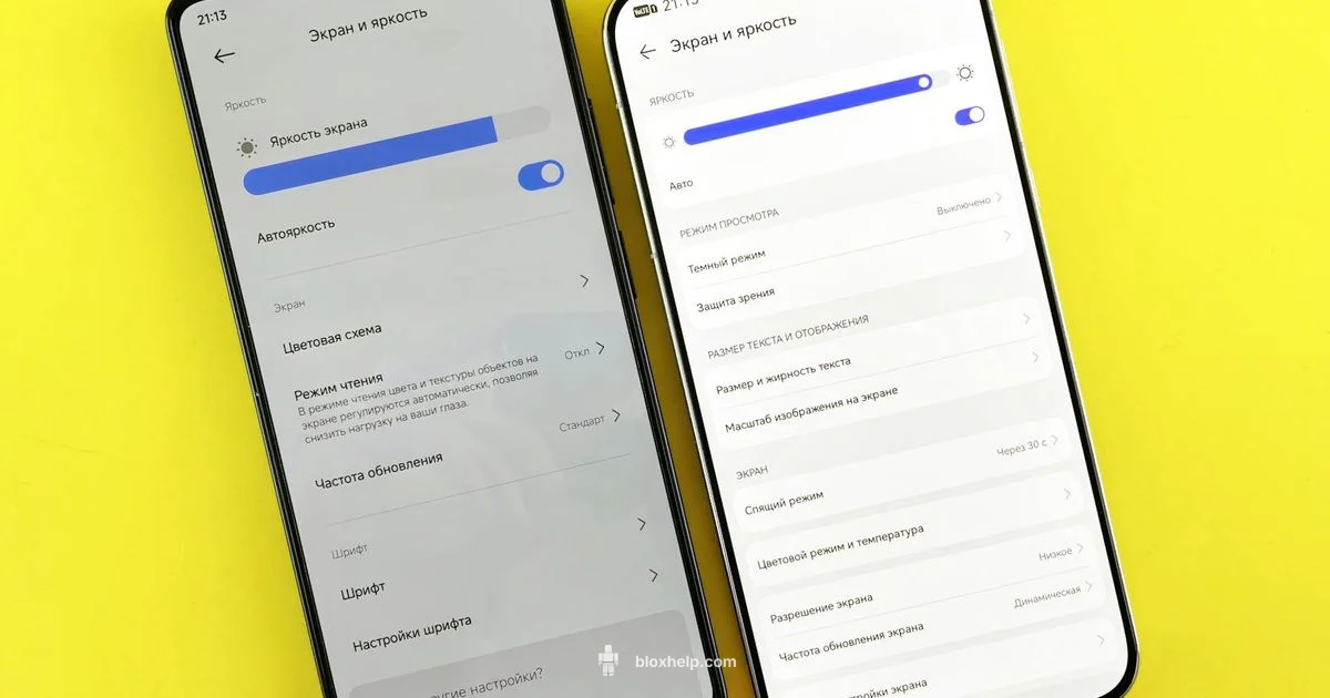 Roblox vs Schlep 2026 - Blox Help
