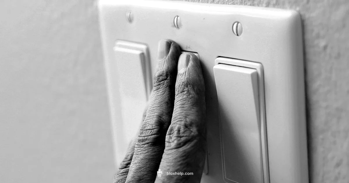 Roblox on Switch - Blox Help