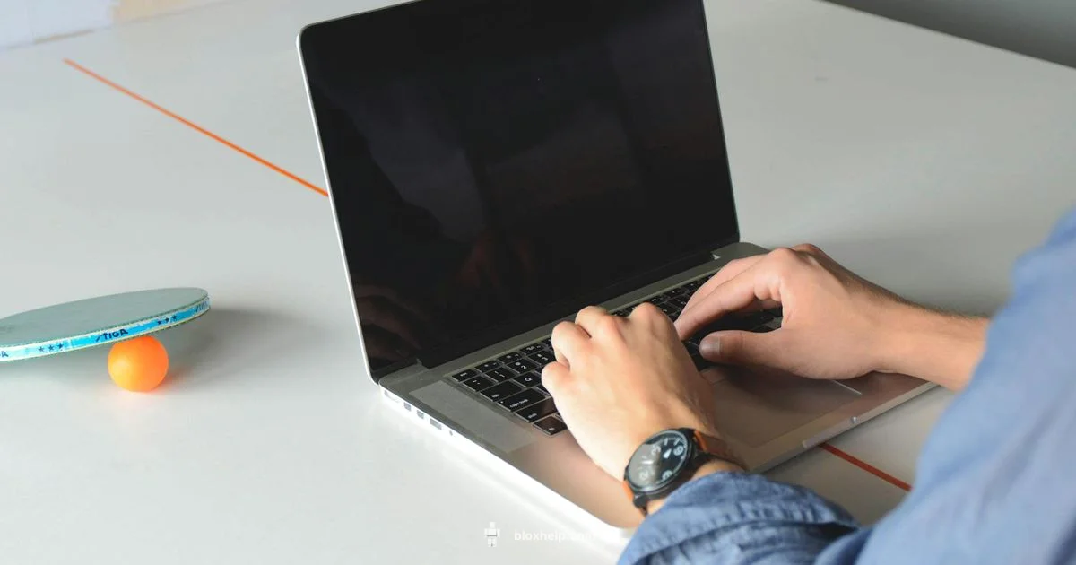 Online Roblox Guide - Blox Help