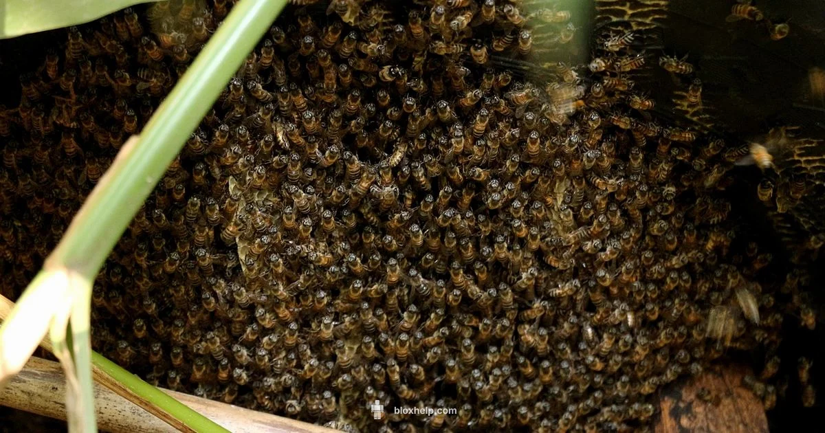 Bee Swarm Simulator Guide - Blox Help