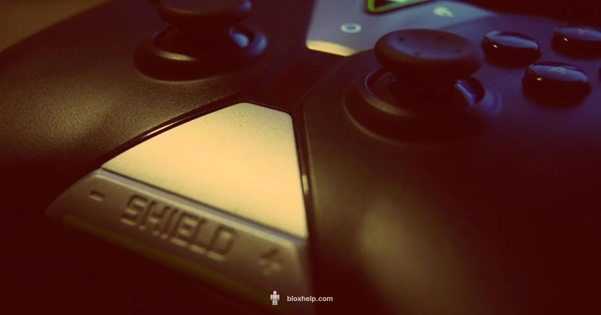 Invincibility in Roblox - Blox Help