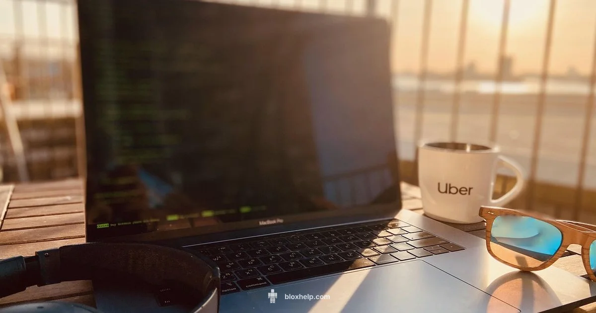 Unblock Roblox Guide - Blox Help