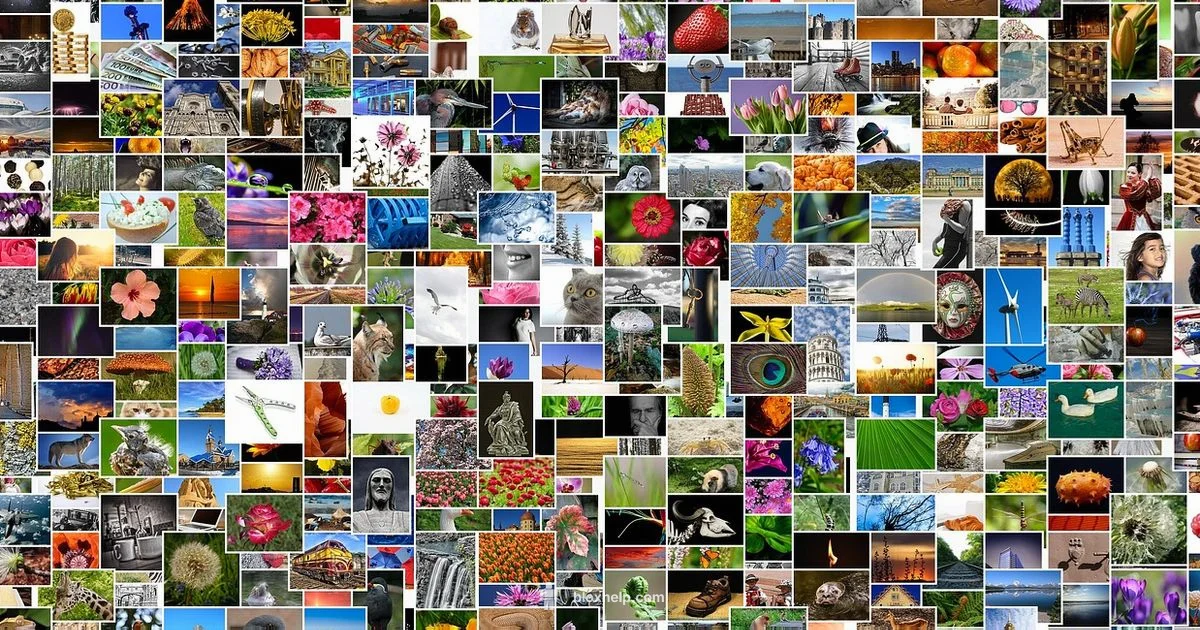 Roblox Pictures - Blox Help