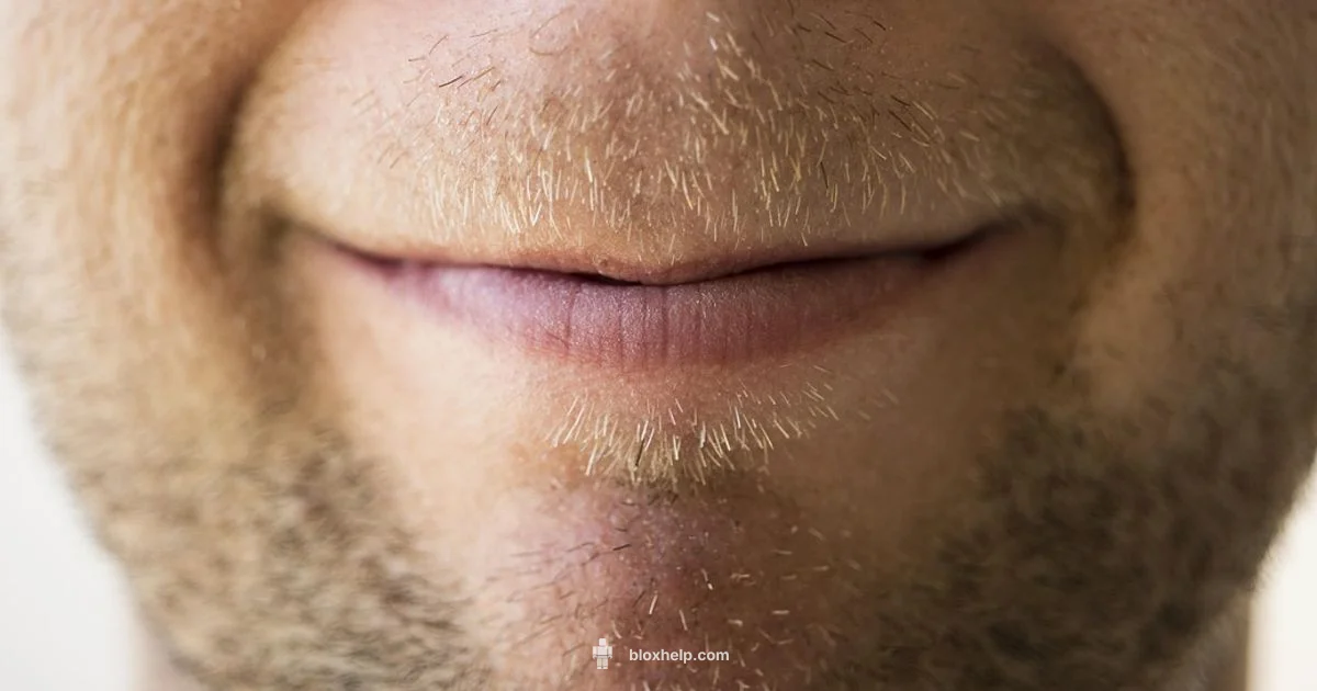 Smirk Roblox Face Guide Smirk Roblox Face Guide - Blox Help