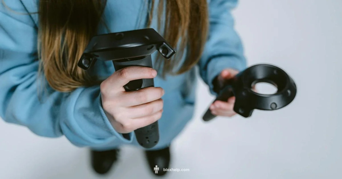 Roblox Overview - Blox Help