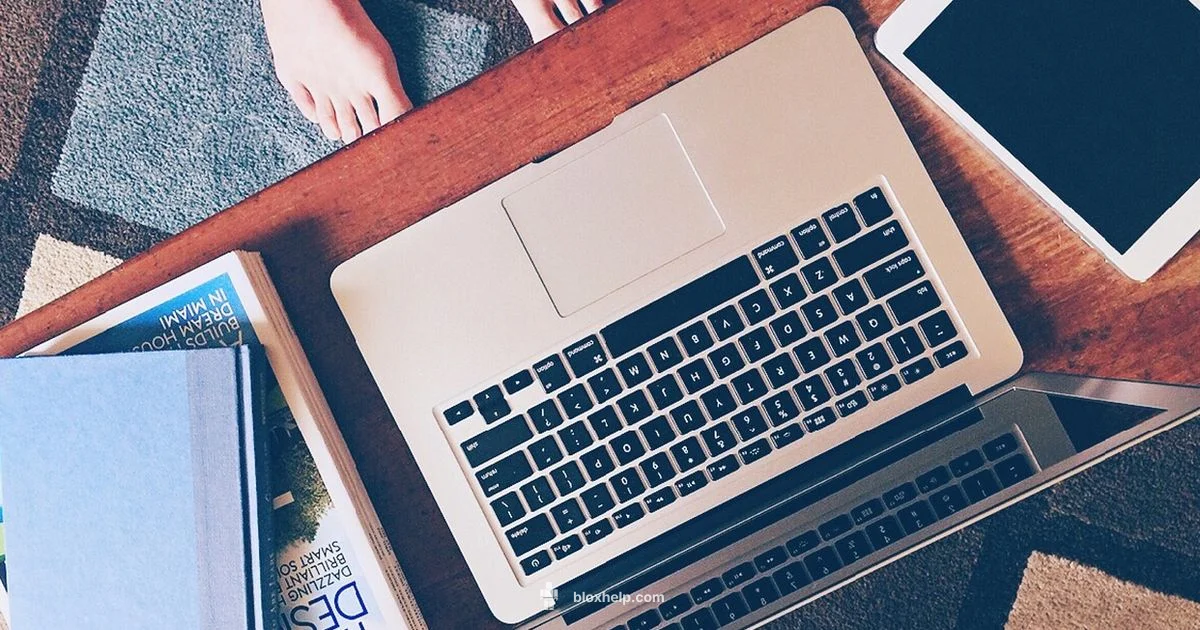 Roblox Demographics - Blox Help