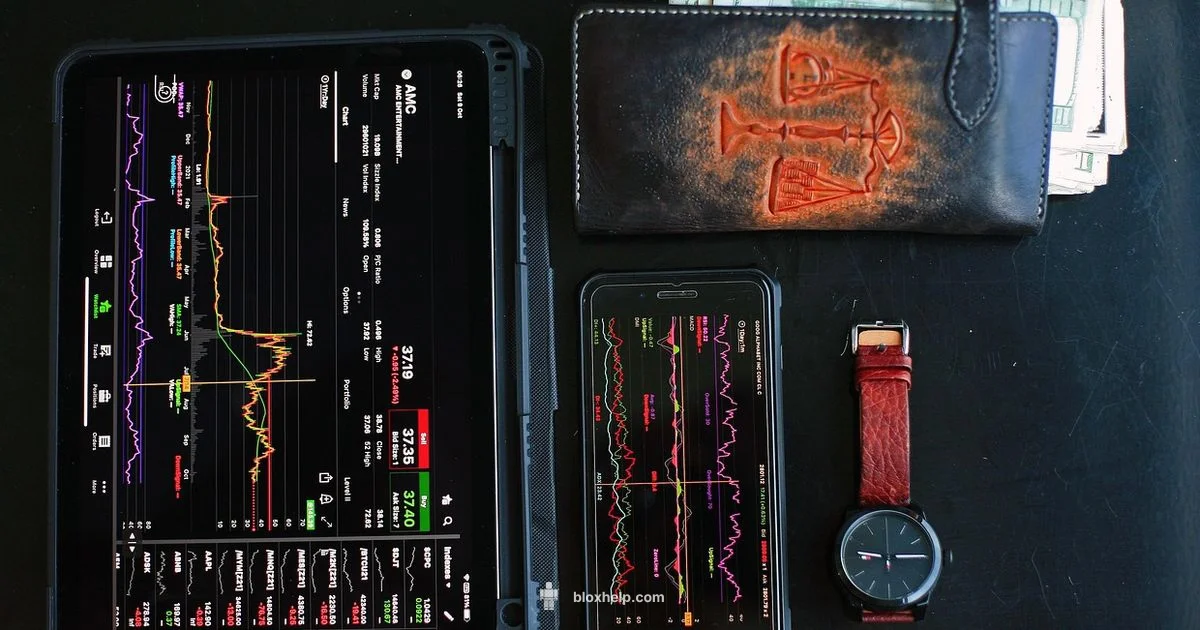 Roblox Stock Guide - Blox Help