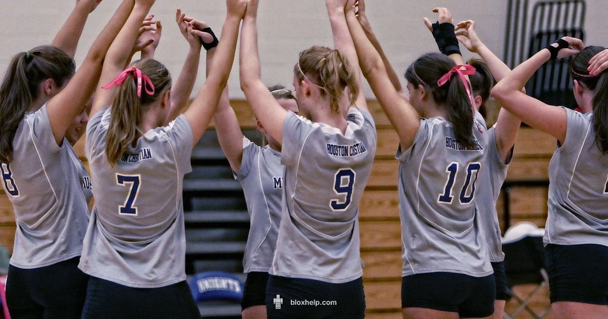 Top Roblox Games Top Roblox Games - Blox Help