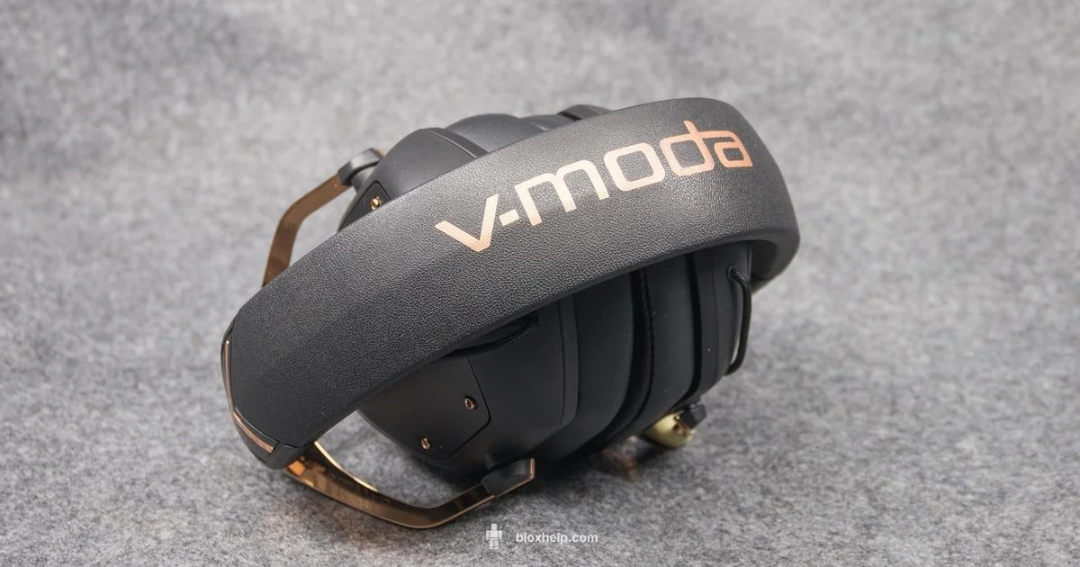 Rap Song IDs - Blox Help