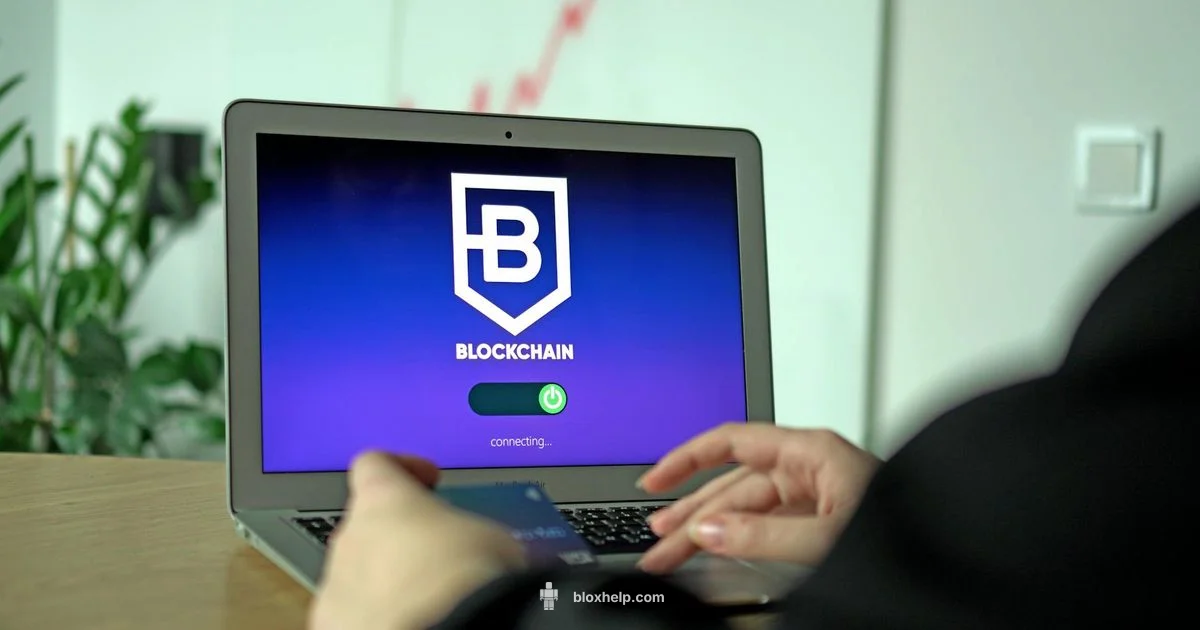 Canjea tu Roblox Card - Blox Help