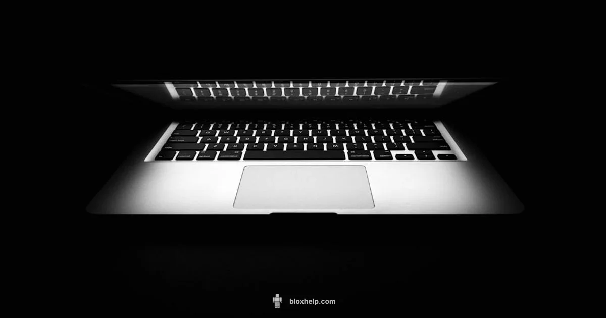 Roblox Loading Fix - Blox Help