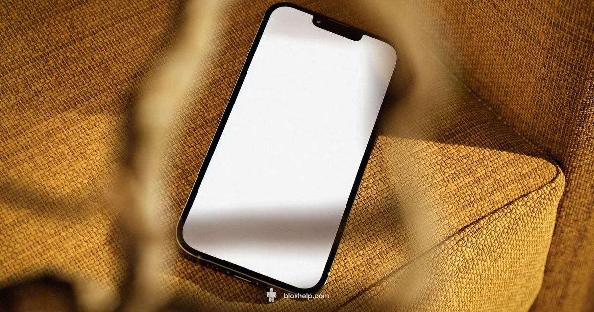 Name Origin - Blox Help