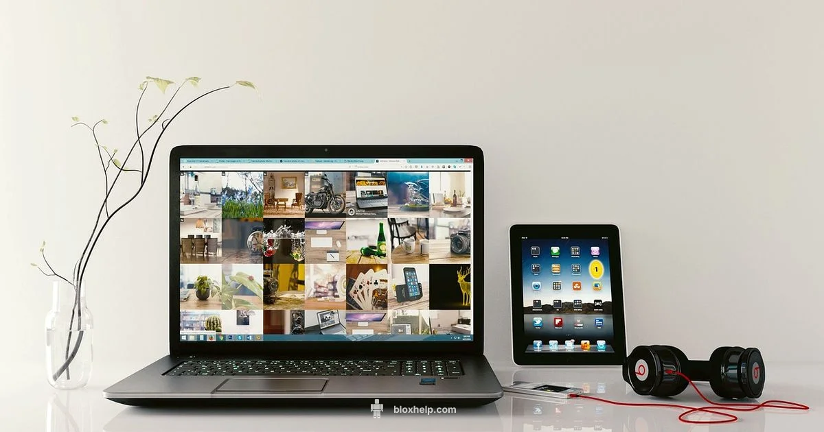 Roblox Laptop Setup - Blox Help