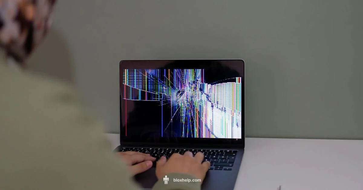Install Troubleshooting - Blox Help