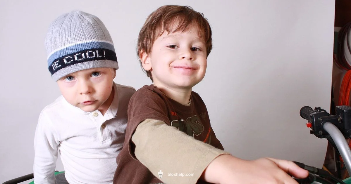 Top Roblox Co-op Picks - Blox Help