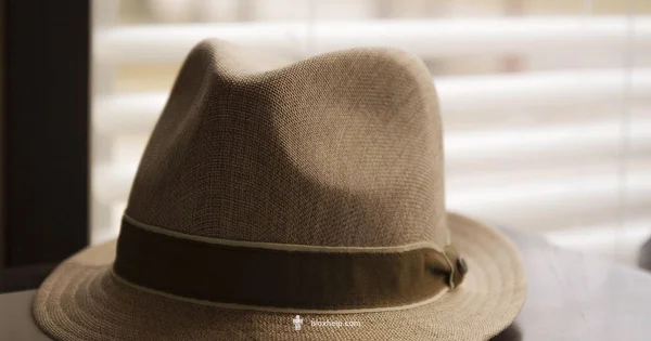 Fedora Hat Roblox - Blox Help