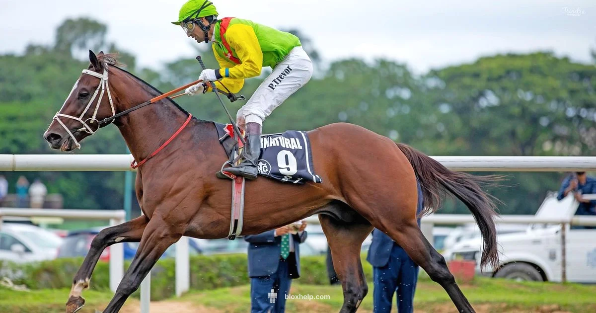 Horse Roblox Guide - Blox Help