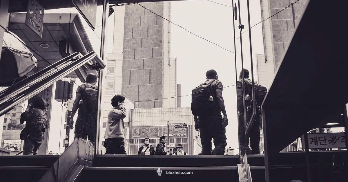 Roblox vs TikTok Roblox vs TikTok - Blox Help