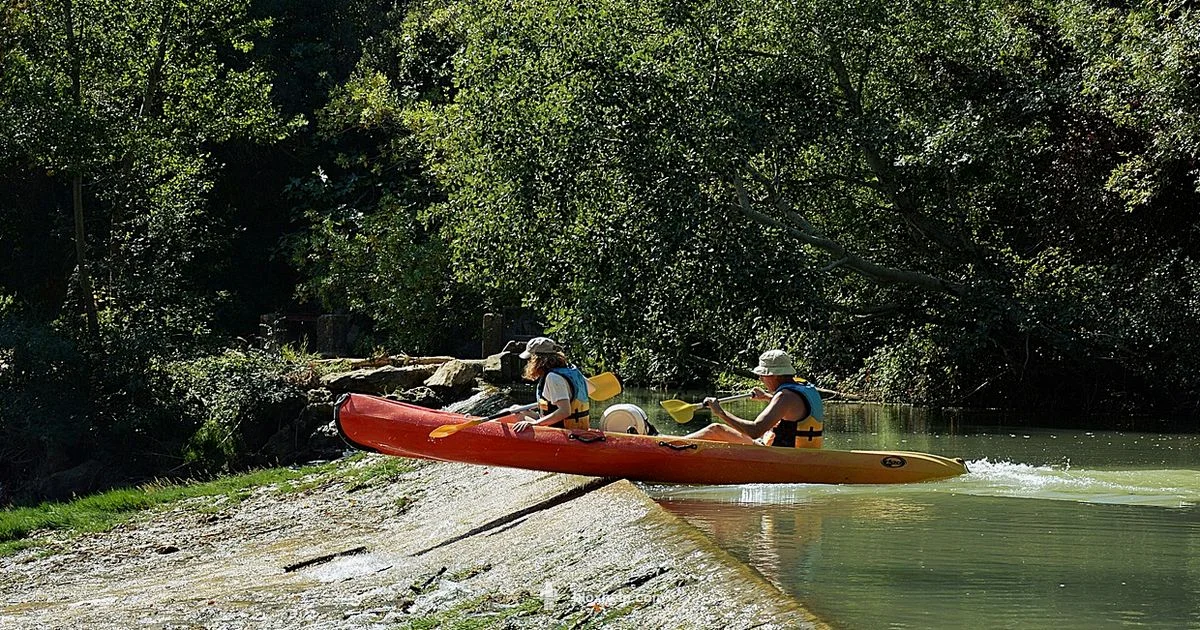 Ultimate Roblox Obby Guide - Blox Help