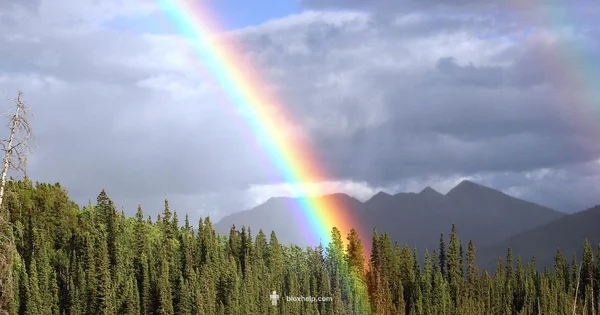 Rainbow Friends 2 Guide - Blox Help