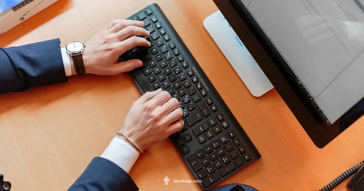 Safe Roblox Aiming - Blox Help