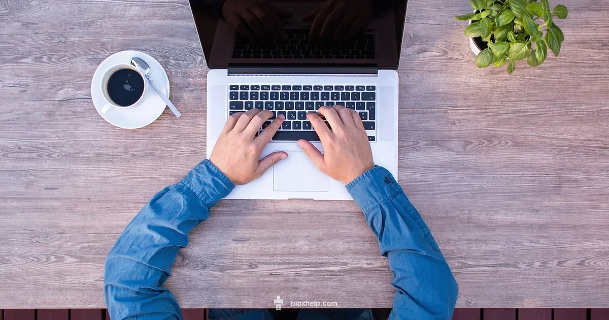 Roblox Account Basics - Blox Help