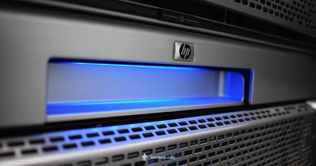 Roblox Server Regions - Blox Help