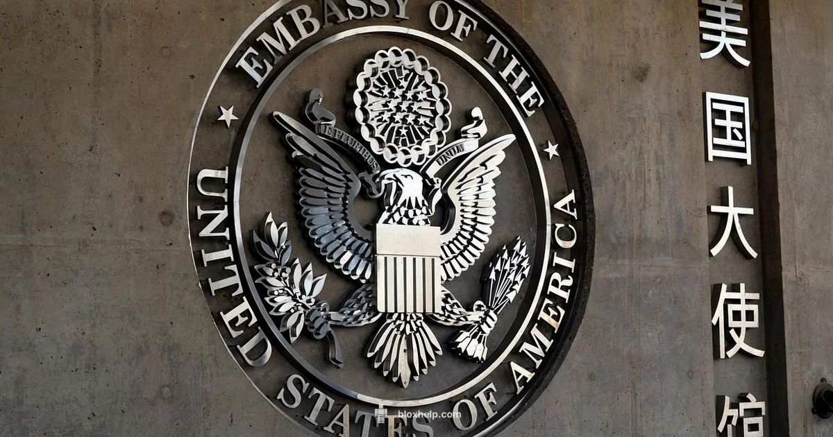 Arceus X Roblox Explained - Blox Help