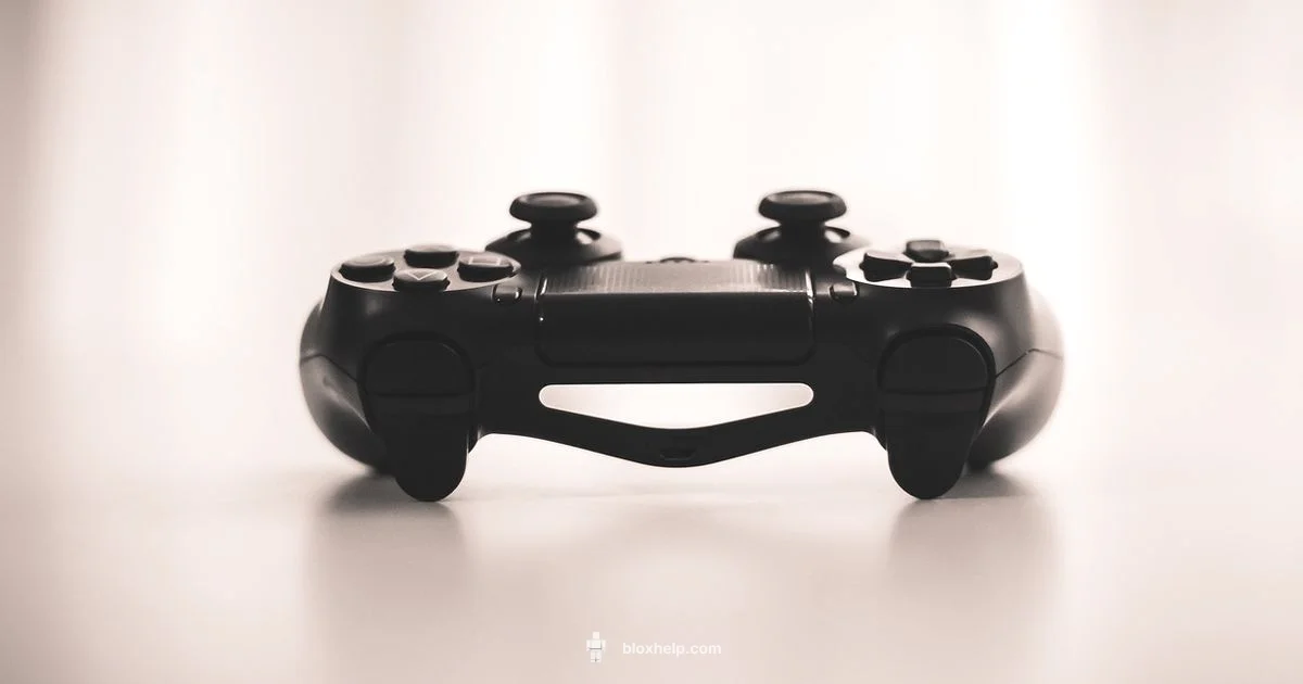 Roblox on PS5 Guide - Blox Help