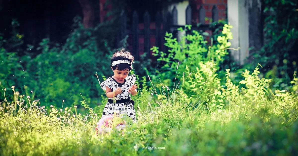 Free Roblox Guide - Blox Help