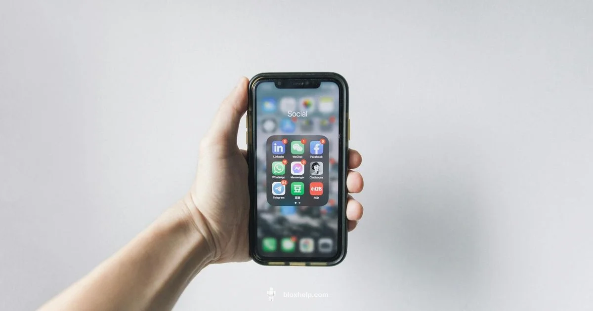 Roblox on Switch Setup Roblox on Switch Setup - Blox Help