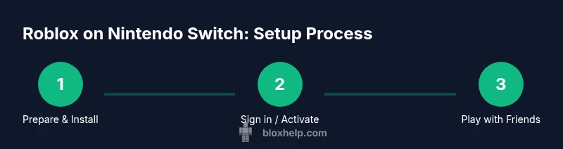 Process diagram showing Roblox onboarding on Nintendo Switch