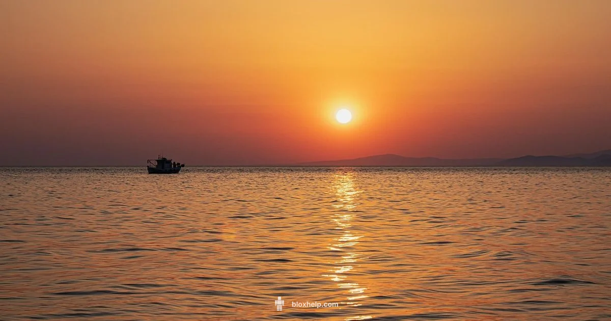 Master Fishing Simulator Roblox - Blox Help