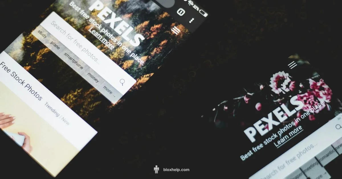 Platform vs Currency Platform vs Currency - Blox Help