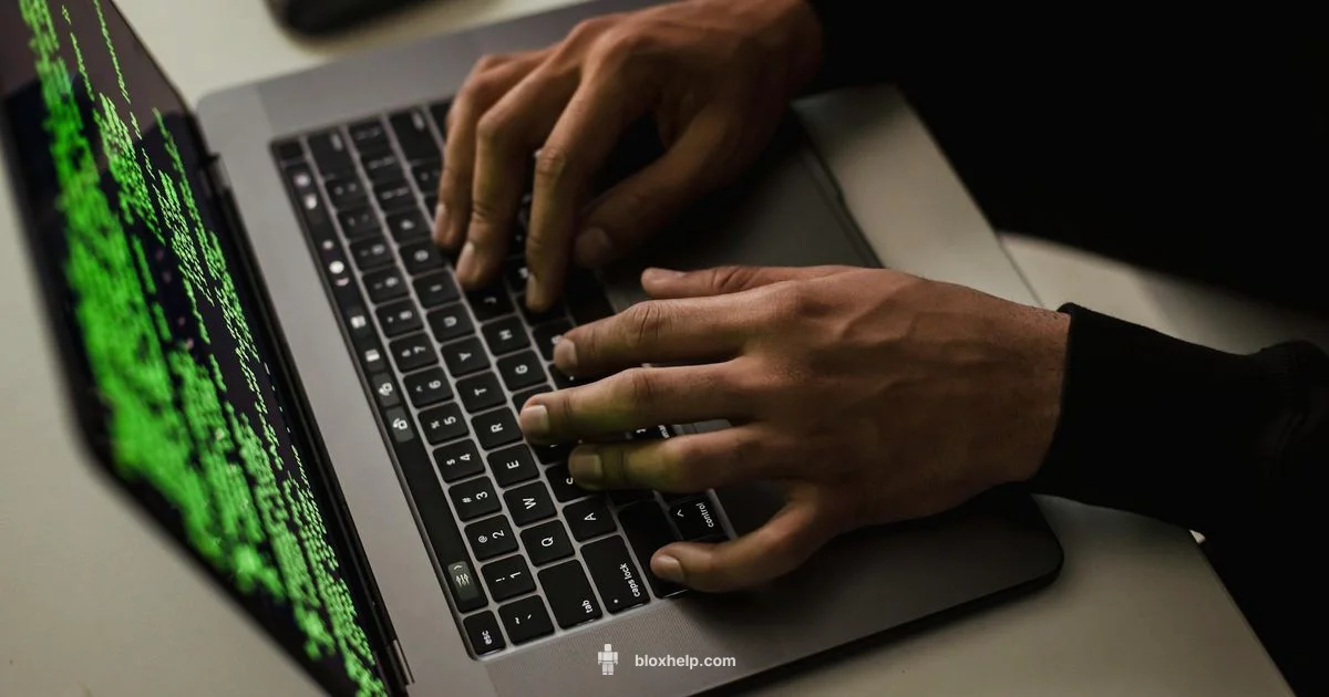 Roblox Account Identity Roblox Account Identity - Blox Help