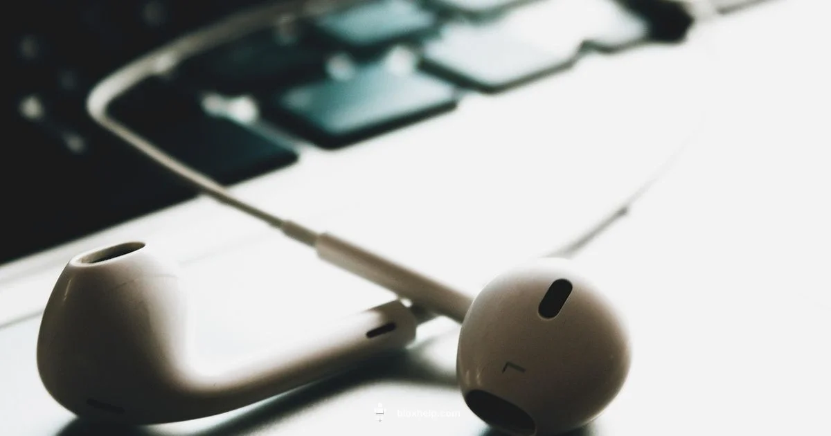 Enable Roblox VC Enable Roblox VC - Blox Help