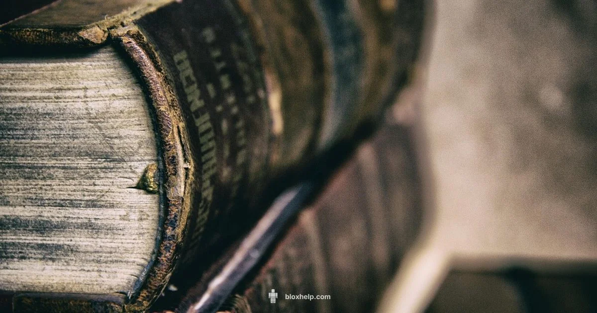 Play Roblox at School Play Roblox at School - Blox Help