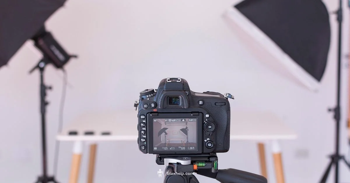 Roblox YouTubers Explained Roblox YouTubers Explained - Blox Help