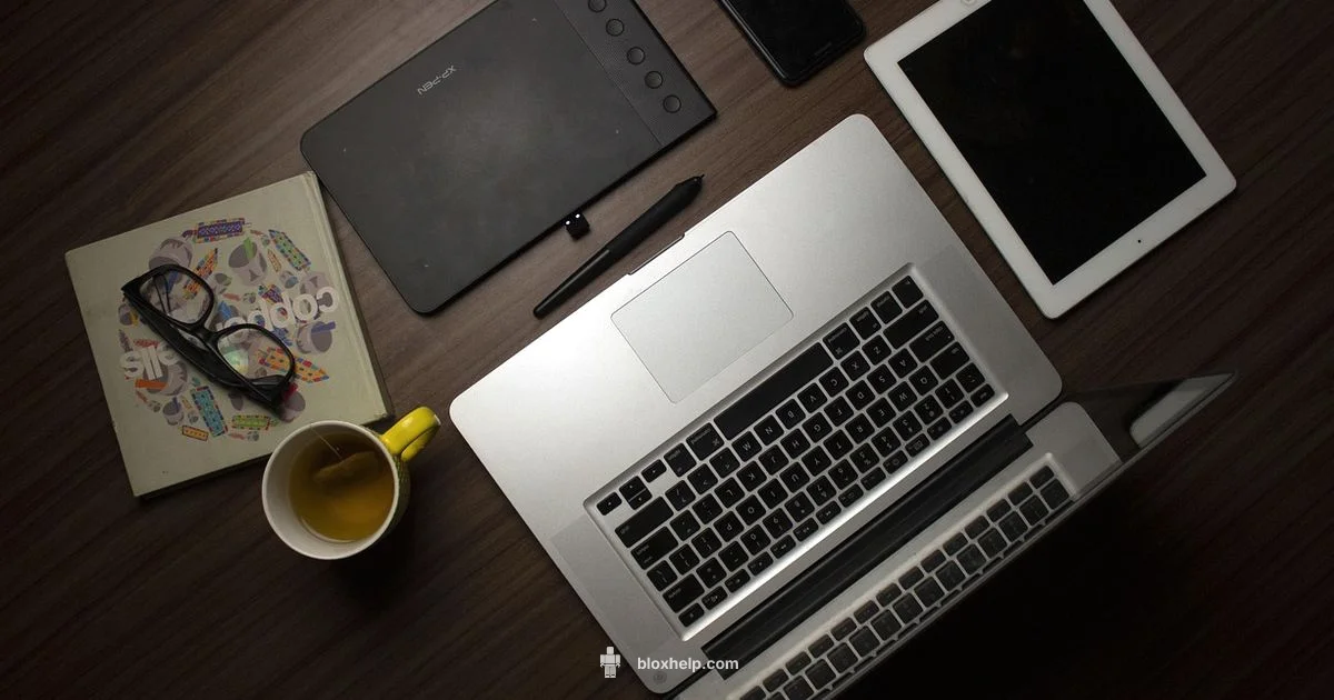 Roblox Studio on Chromebook - Blox Help