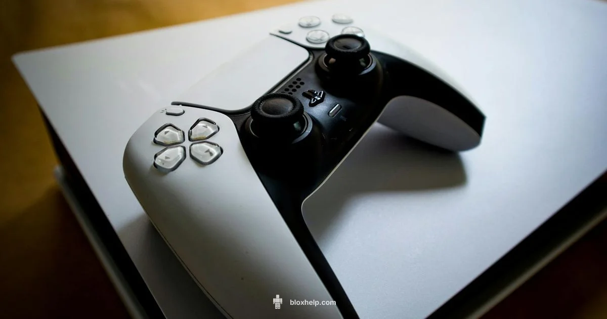 Roblox on PS5 - Blox Help