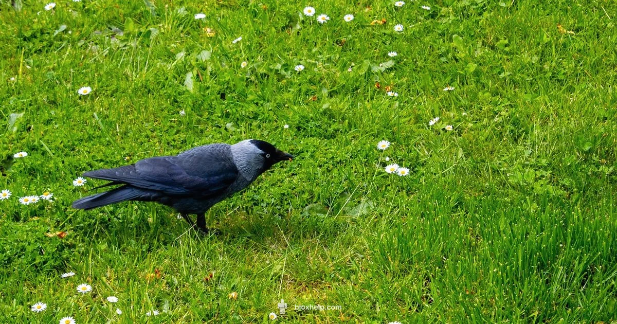 Disable Roblox Account - Blox Help