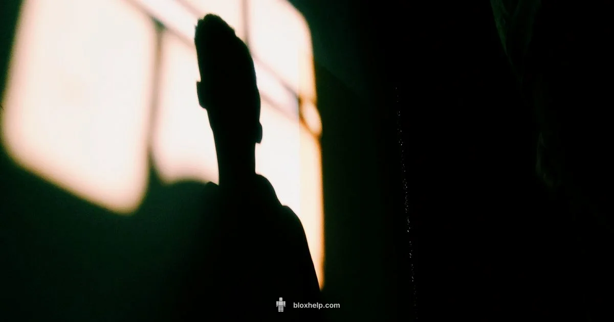 Hacked Roblox Guide - Blox Help