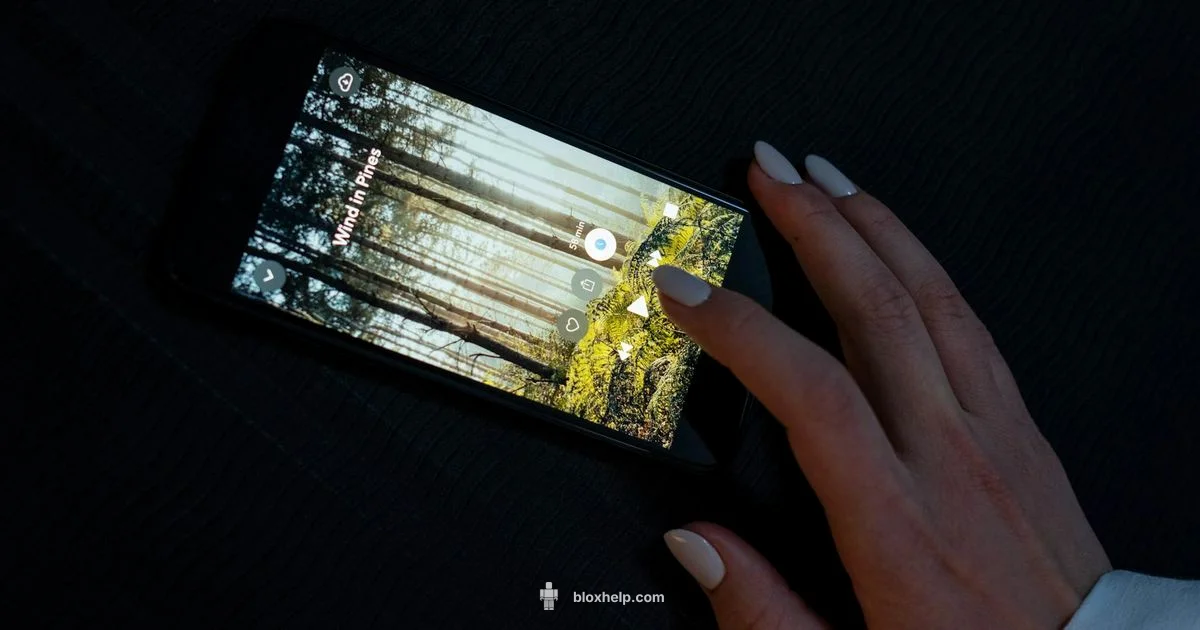 Roblox APK Safety - Blox Help