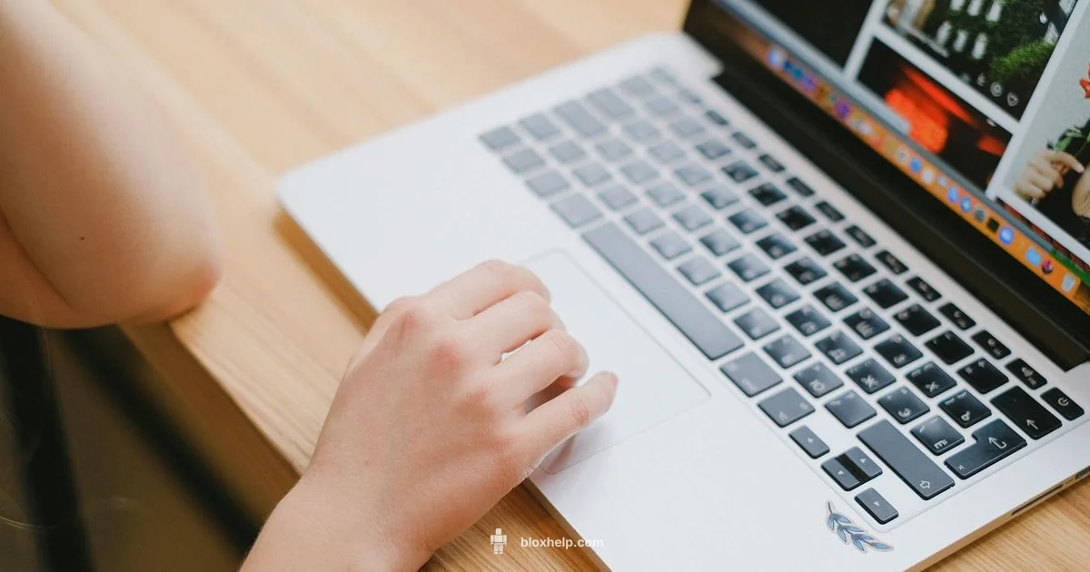 Account Security - Blox Help