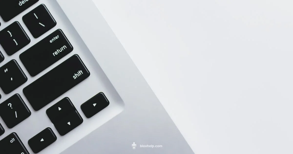 Understanding Roblox Unlockers - Blox Help