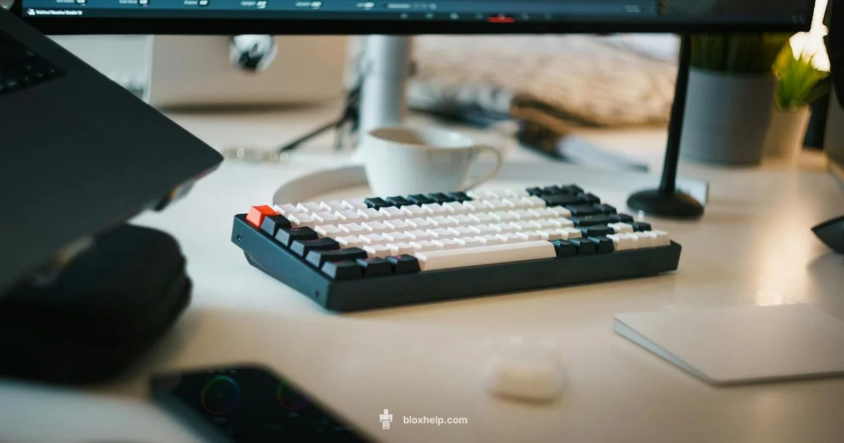 Roblox Creator Roblox Creator - Blox Help