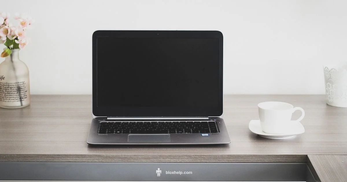 Roblox Availability Guide - Blox Help