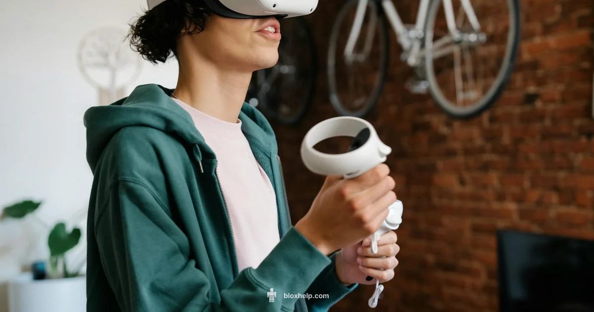 Roblox Visual Guide - Blox Help