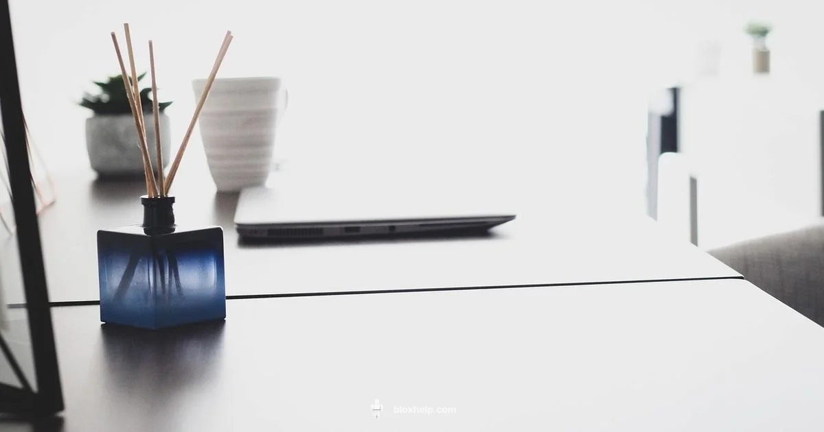 Roblox Website Guide - Blox Help